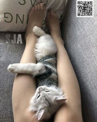 电影白日焰火_剧情片在线手机播放