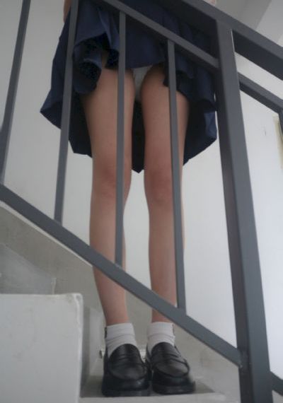 没落的贵族动漫在线看_BD国语在线观看电视