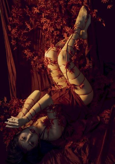 封神英雄榜2免费观看_蓝光高清视频播放