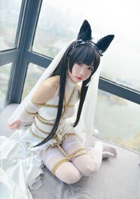 《潜伏》全集免费观看高清版_1080在线视频观看